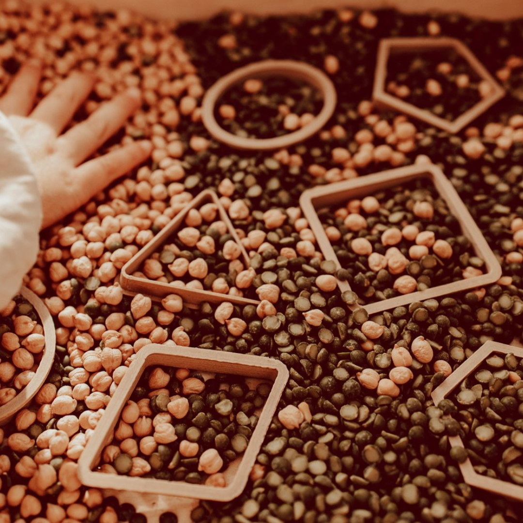 Shapes Eco Cutter Set