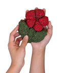 Eco Squishy Foam