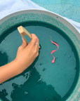 Slither and Slime Set