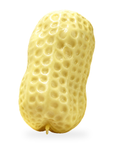 Crunchy Peanut Squishy – Textured Squeeze Fidget