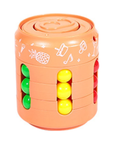 Spin & Slide Sensory Can Fidget Toy