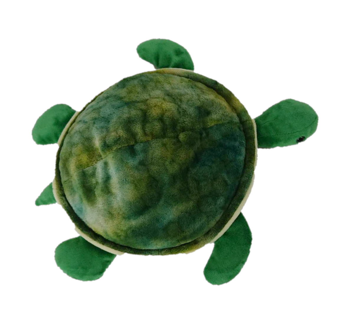 Sensory best sale turtle toy