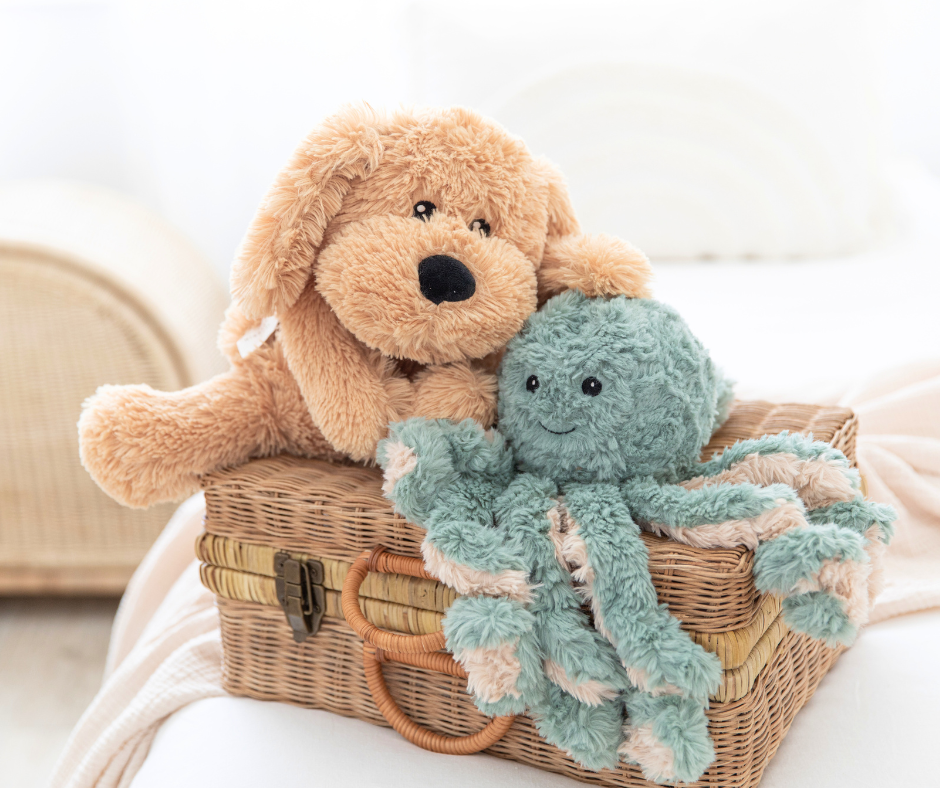 After School Regulation Routine