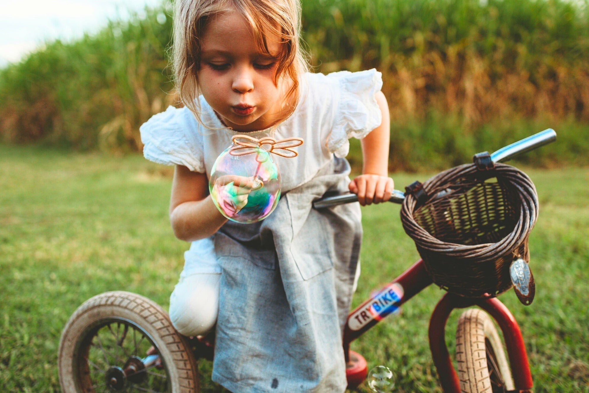 Sensory Tools for Spring!