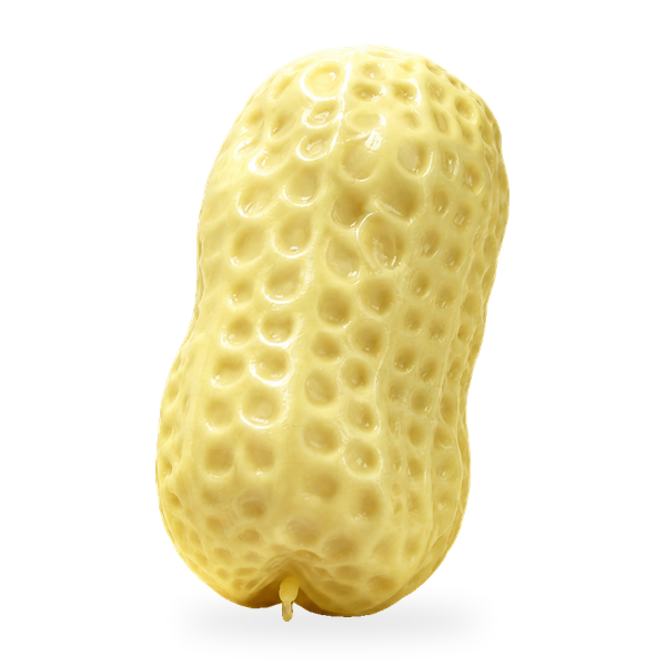 Crunchy Peanut Squishy – Textured Squeeze Fidget