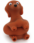 Sitting Dachshund White Background