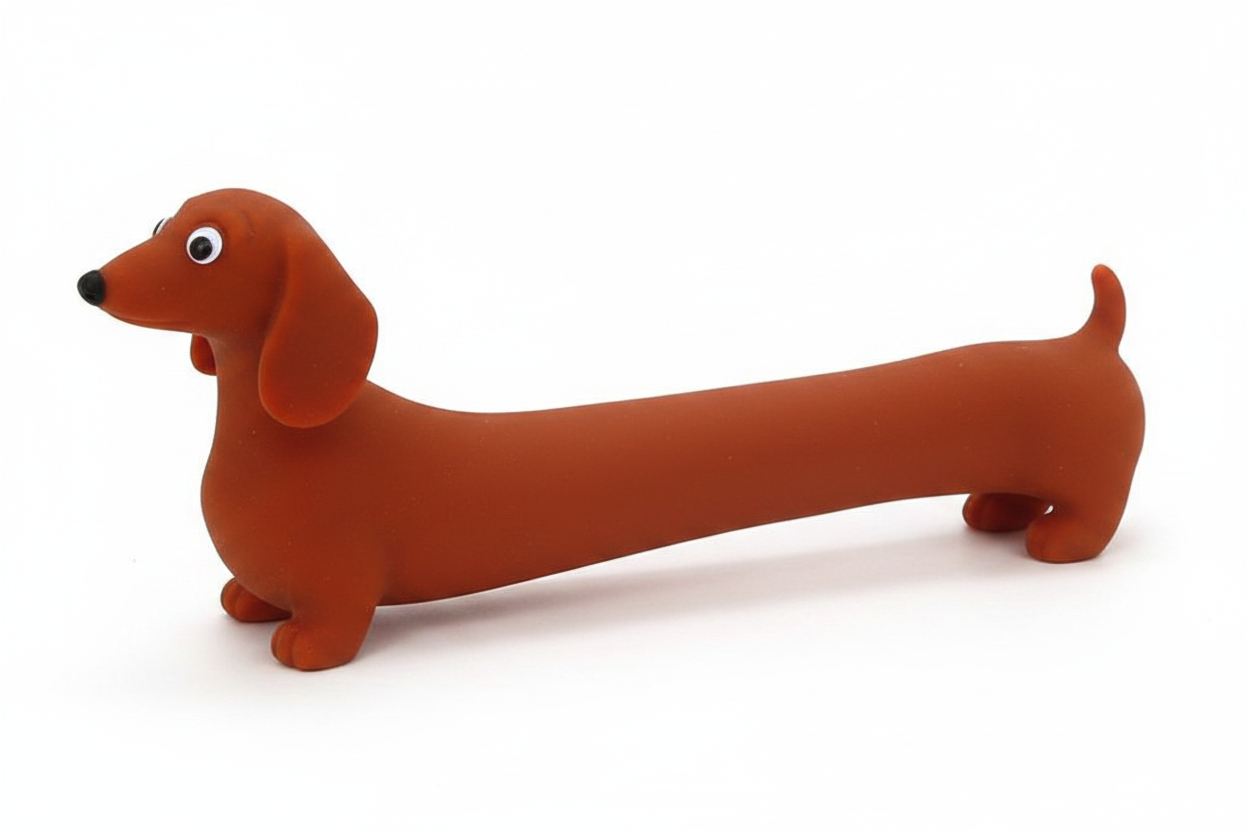 Stretched Dachshund White Background