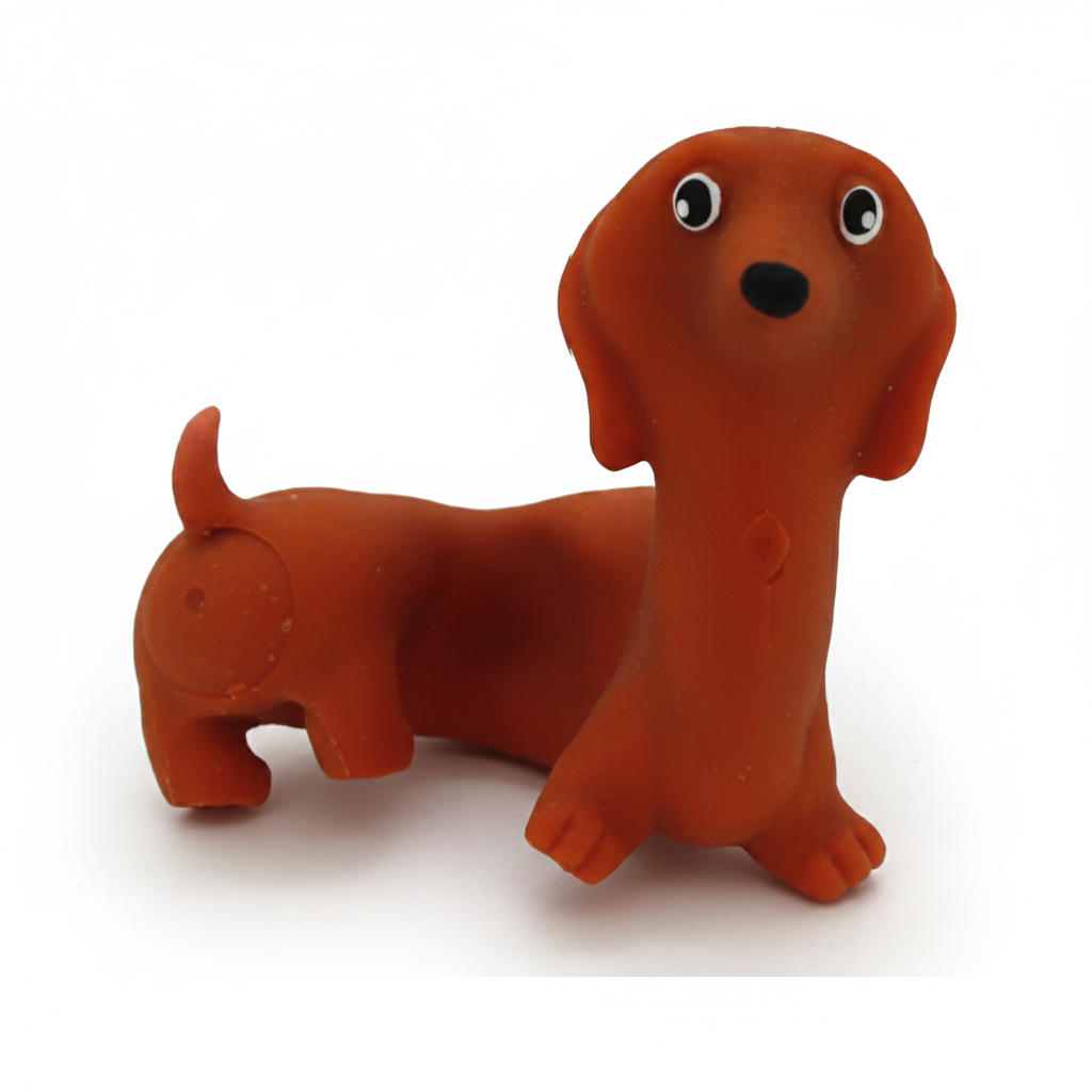 Stretchy Dachshund Single White Background