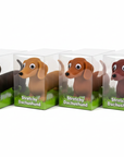Stretchy Dachshund White Background