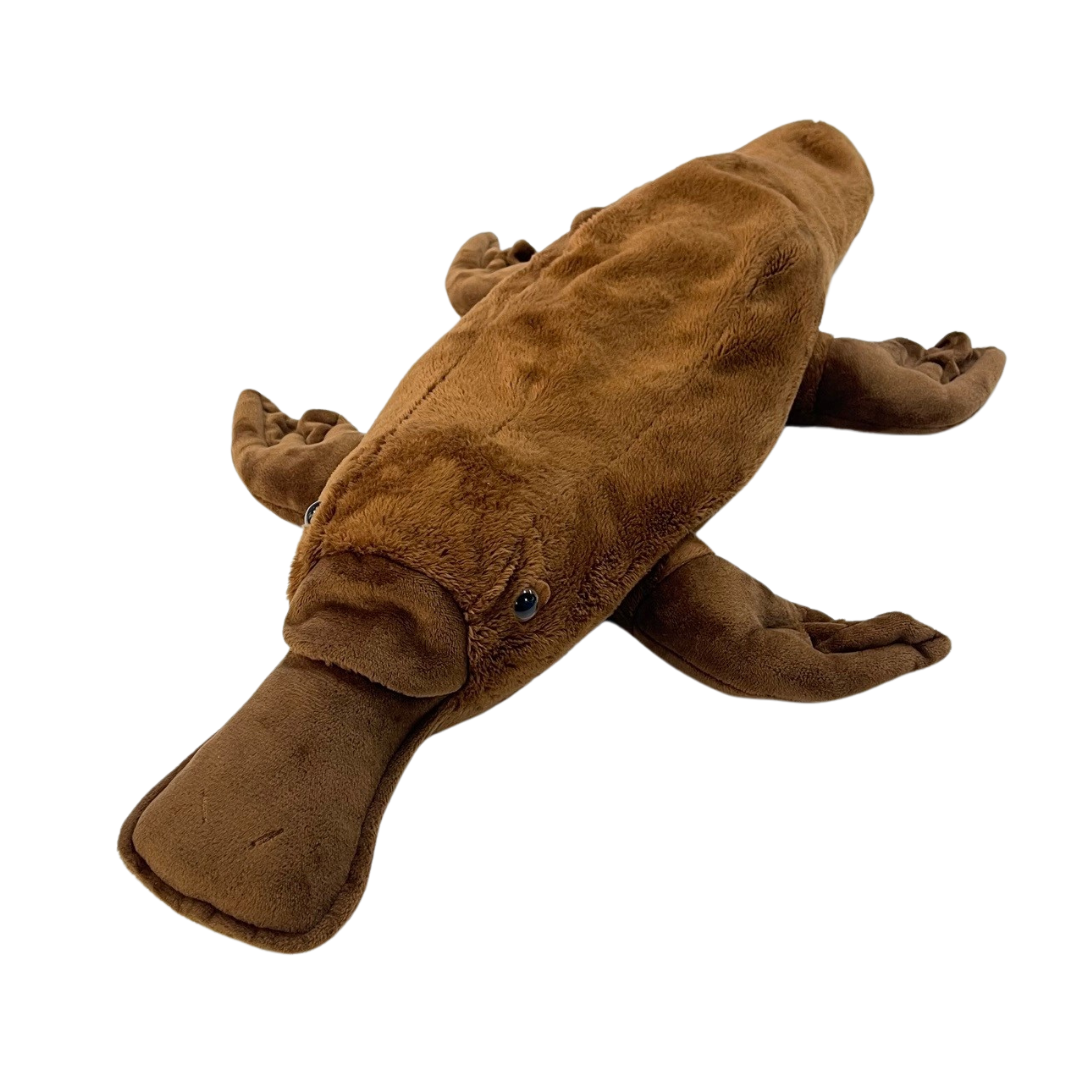 Weighted Plush Platypus With Story Book
